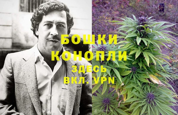 стафф Рославль
