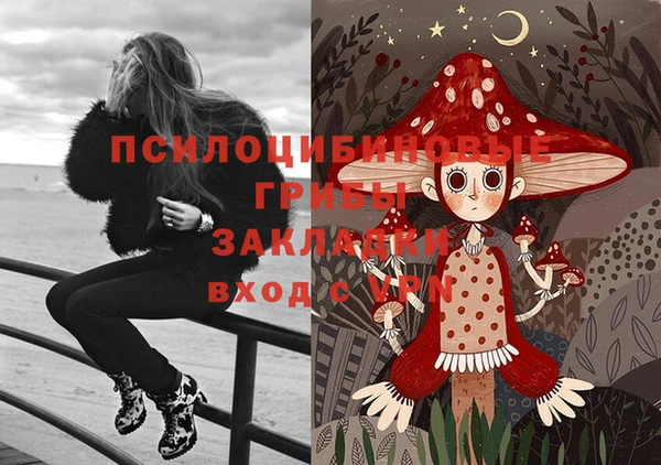 метадон Протвино